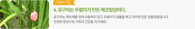 유구미는 우렁이가 만든 에코밥상이다.